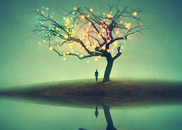 求分享doss网站攻击